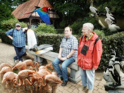 Tagesausflug in den Weltvogelpark Walsrode Tagesausflug in den Weltvogelpark Walsrode